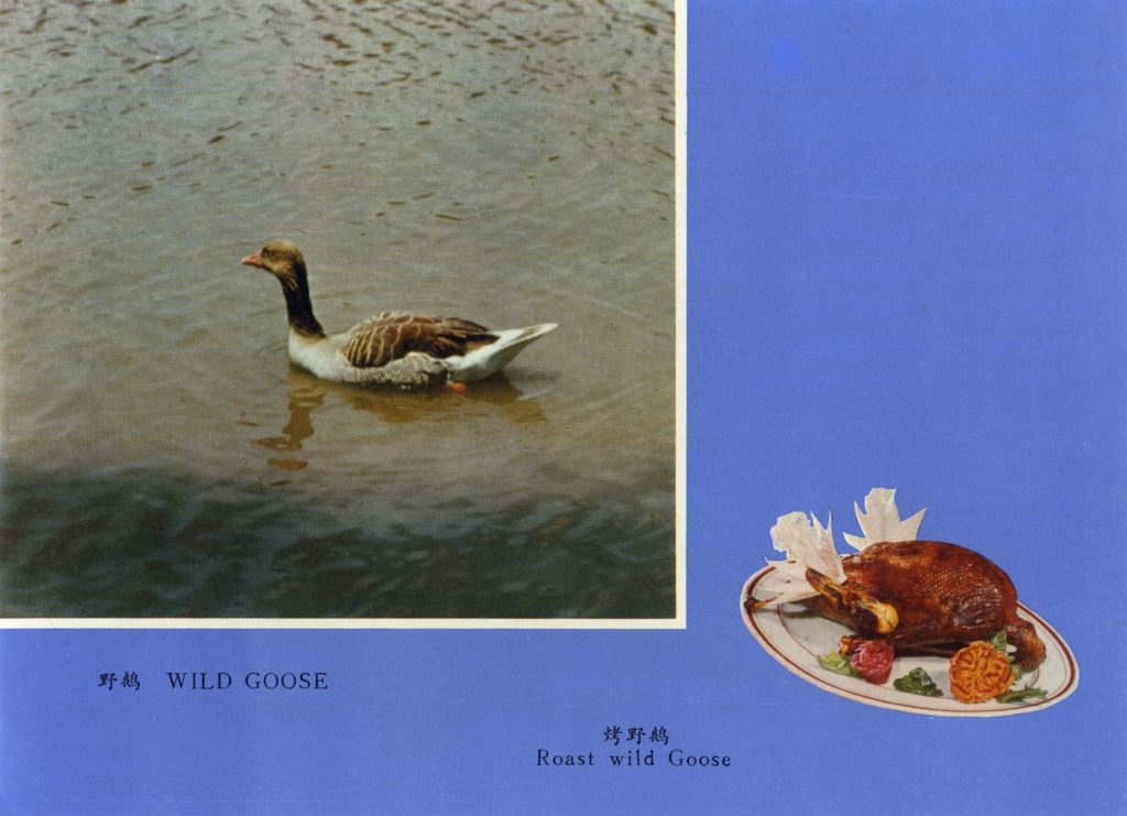  Ruben-Lundgren-Roast-wild-Goose 